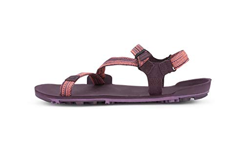 Image of Xero Shoes Womens Z-Trail EV Magenta, 12 Medium