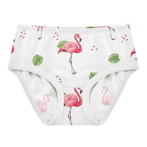 Toddler Girls Underwear 2t Cotton Girl Panties Cute Flower Briefs Underpants Pink Flamingos Leaves Red Dots