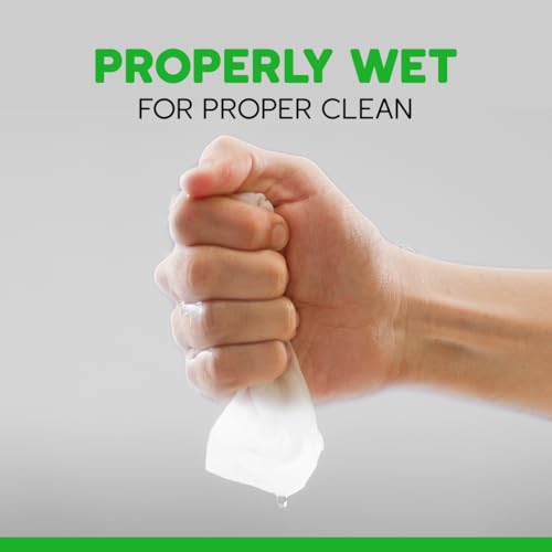 Image of Flushable Wet Wipes, 6 Pack (288 Wipes), New & Improved Spearmint Cooler, Disposable, Biodegradable, XL, Aloe & Vitamin-E, Drain and Marine Life Friendly, Utterly Smooth, Zingy, Irresistible!