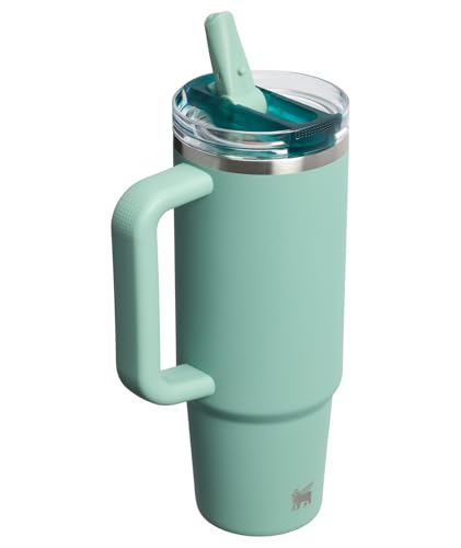 Image of STANLEY Quencher ProTour Flip Straw Tumbler with Leakproof Lid 30 oz | Built-In Straw & Handle | Cupholder Compatible for Travel | Insulated Stainless Steel Cup | BPA-Free | Spring Green