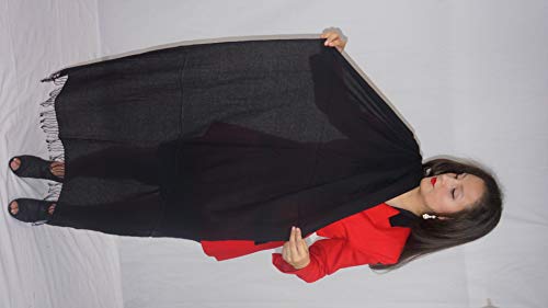 Pashmina Shawl/Scarf (Pure Pashmina- 3 PLY) from2