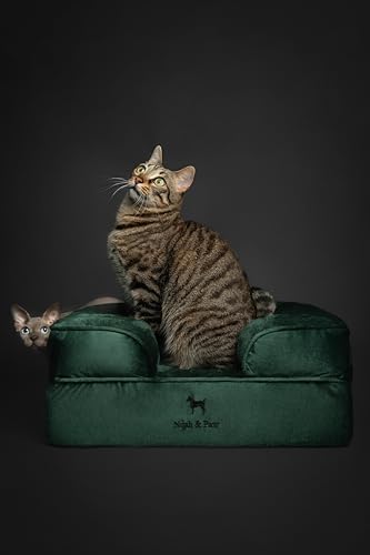 Image of NOAH & PAW Small Dog Bed, 20x15x8 Inch, Cat Bed for Indoor Cats, Orthopedic Eggshell Memory Foam Infused with Cooling Gel, Water Resistant Inner Cover Machine Washable (Velvet Collection)