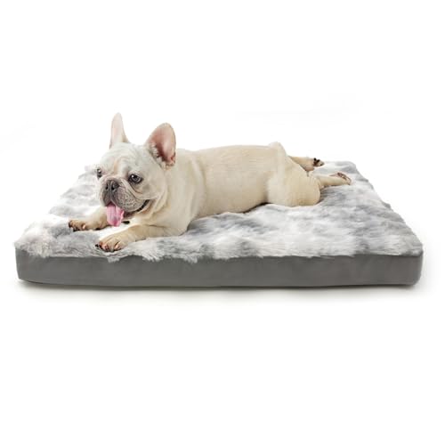 Peto-Raifu xbh NbV xbh ybgxbh ybg\t@[xbh 􂦂 ӂӂ Q h ~ V  h~ ʔNgp ~/ Hc ^ ^  i蕗 O[ 76*50*7cm