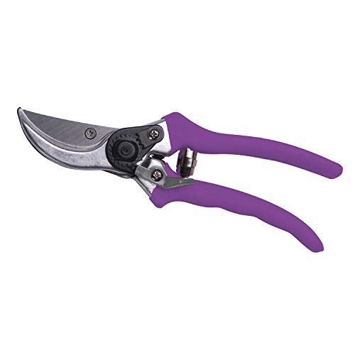 Bond 3104BL Bloom Tijeras Bypass 8" miniatura 3