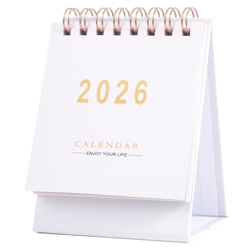 Calendrier de bureau 2024-2025 en papier épais anti-bavure pour l'organisation