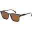 Cirus/Vibrant Brown Polarized