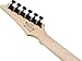 Ibanez RG450QMB Standard Electric Guitar, Jatoba Fingerboard, Transparent Gray Burst