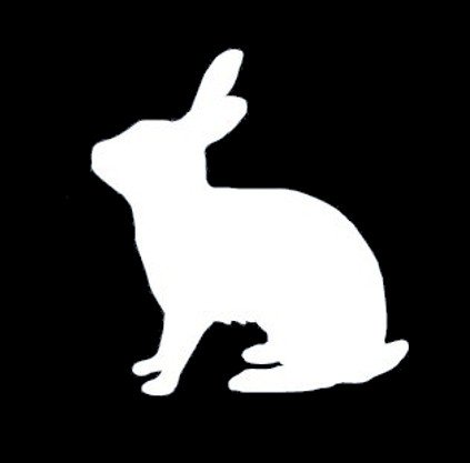 Amazon.co.jp: うさぎ 兎 ラビット RABBIT usagi 兔 ウサギ