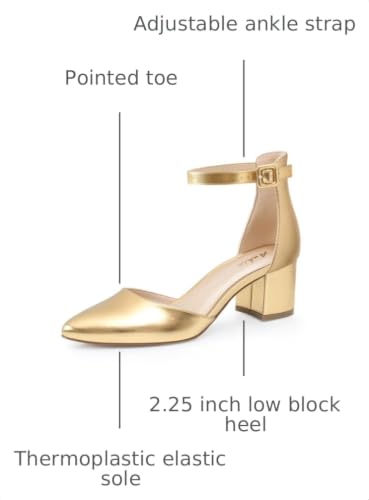 Image of Ankis Closed Toe Heels for Women, 2.25 Inch Low Block Chunky Dress Pumps | Black Nude White Gold Silver Pointed Toe Design, Soft Insole, Adjustable Ankle Strap, Classic Versatile, For Formal Daily