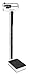 DETECTO 339 Mechanical Physician Beam Scale with Height Rod, Dual Reading KG/LB