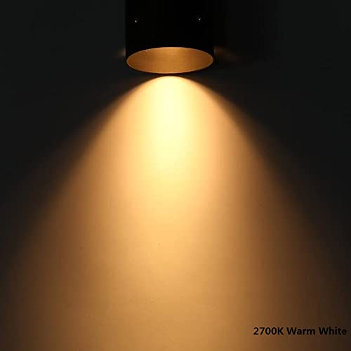 Arrownine Landscape Lighting Tree Lights Low Voltage Down Lights Outdoor Wall Mounted Light 12V,Replaceable Mr16 Led Bulb Warm White Included Brass Materials Construction #TOP5