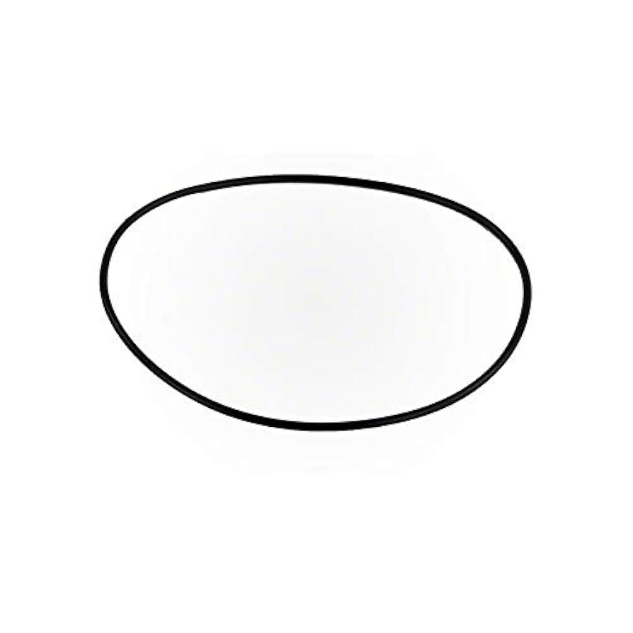 Amazon.com: Pentair Tagelus/Triton II/WFE Lid O-Ring WFE