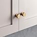 RZDEAL 4pcs Solid Brass Cabinet Knobs Pulls Cabinet Drawer Dresser Gold Knobs Modern Handles(1