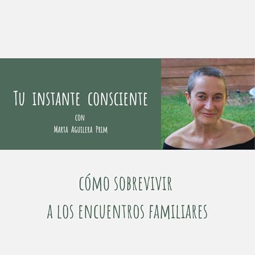 141.- C&oacute;mo sobrevivir a los encuentros familiares copertina