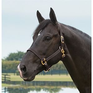 Suffolk by Dover Saddlery Triple-Stitched Halter, Oversize-O S, Brown