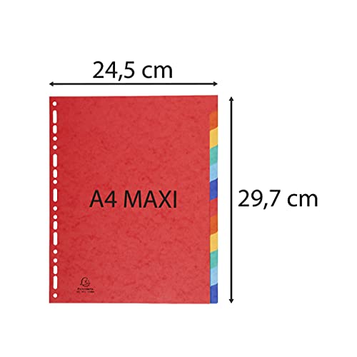 Intercalaires Exacompta 2412E classeur A4 maxi intercalaire couleur - 3