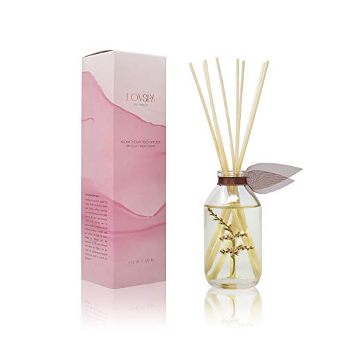 LOVSPA Cashmere Woods Reed Diffuser Oil Set with Amber Mimosa, Vanilla Musk & Apricot Nectar, Made in The USA