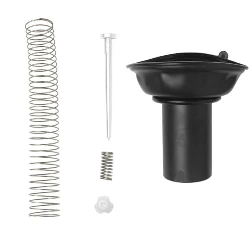 Kit réparation carburateur CBX250 Twister avec pointeau et piston