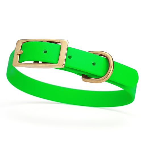 Image of Viper Biothane Heavy Duty Waterproof Dog Collar Strong Coated Nylon Webbing w /Solid Brass Hardware Odor-Proof Easy to Clean High Performance Fits Small Medium or Large Dogs, Tropical Green