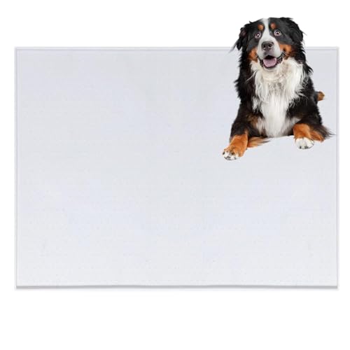 Lifetips o[j[YE}EeEhbO gC}`FX^[eA ybggC}bg VR h ~ 􂦂  L V[gh~ g[p t[Oی ybggC}bg VR}bg ΍ gCV[g