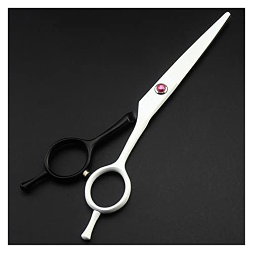 Ciseaux de coiffeur 5,5 pouces double queue pour une coupe nette et fluide