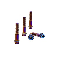 RISON Titanium Bolts M8*1.25 * 15 Torx Titanium Bolts for
