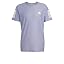Silver Violet