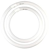 COOGGALAN FC16T9/CW 40W & FC12T9/CW 32W Cool White Set, 16 inch T9 40 Watts & 12 inch 32 Watts Round Fluorescent Light Bulb, Circular Bulb Kitchen and Bath, 841 4100K, G10q 4 pin Prong