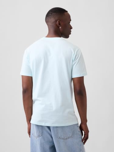 Image of Gap Mens Everyday Soft Crewneck T-Shirt Tee