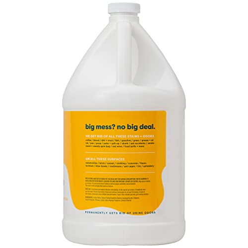 Image of Kids 'N' Pets Instant All-Purpose Stain & Odor Remover - Cleans Dog Pee, Cat Urine, Other Smells, Spots from Carpet, Couch, Mattress - Non-Toxic Chemicals & Child Safe Enzyme Cleaner - 1-Gallon