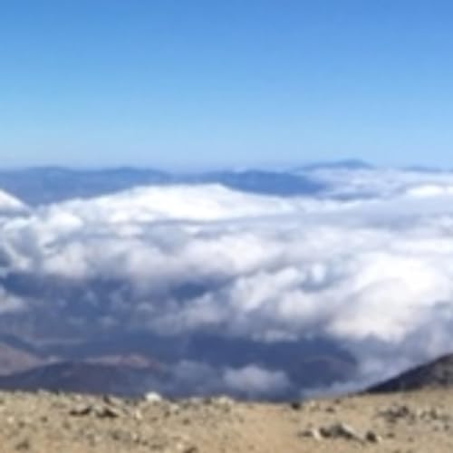 Seeing in a New Light