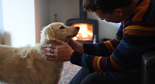 Kiln Dried Ash Firewood Crate (1200 Litres) - 2m³ Dry Ash Hardwood Firewood, Fire Logs, Wood, Heat Logs, Perfect for Log Burner, Wood Burner, Fire Pit, Fireplace, Pizza Oven & Chiminea | Ready To Burn