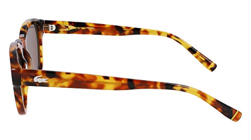 Lacoste L939seng-214 Occhiali, Havana Brown