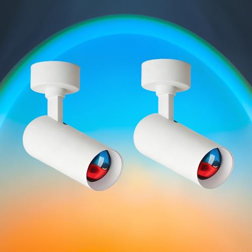Fiabtool 2PCS Dawn Filter Ceiling Spotlights, Blue-Orange Gradient LED