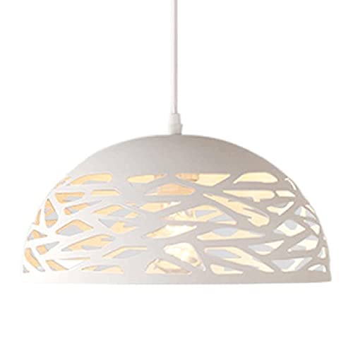 Luminaires décoratifs en fer TTDGYYXW suspension style nordique haut de gamme pour bureau