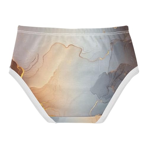 Triangle Panties All Seasons Panties Briefs Underwear for Young Girls in Sizes 2T,3T, 4T, 5T, 6Y and 8Y2