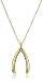 Sterling Silver Wishbone Pendant Necklace