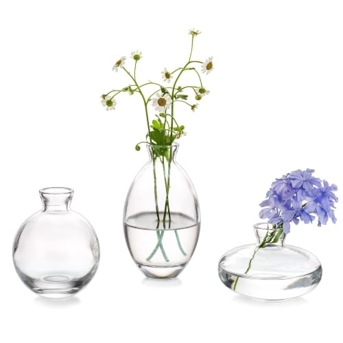 Glasseam Clear Glass Bud Vase, 3Pcs/1Set Modern Mini Small Flower Vases