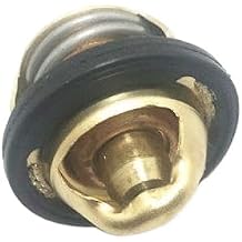 Motorcycle Thermostat Replacement Compatible With RKF 125i RKR 125 RKS 125 RKV 125 Strike Logik 125 RKV 200G Silverblade 125 250 RK5 TX 125