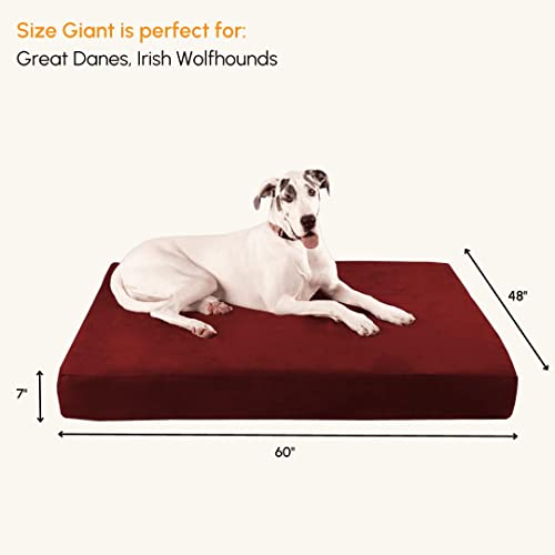 Big Barker Sleek Orthopedic Dog Bed - 7” Dog Sofa Bed For Large Dogs W/Washable Microsuede Cover - Sleek Elevated Dog Bed Made In The Usa W/ 10-Year Warranty (Sleek, Giant, Burgundy) #TOP1