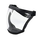 Generico Visiera Protettiva,Maschera Integrale per il viso Anti-appannamento in Trasparent...