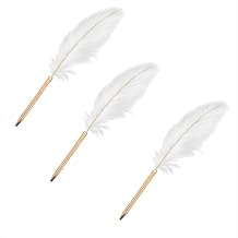 3 Pcs White Retro Feather Ballpoint Pen Exquisite Siganture Pen Ballpoint Pen for Wedding Office Business Gift Pens for Signing Artwork Journal Writing Ballpoint Pens and Refills and Refills
