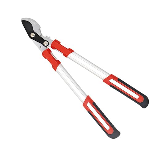 Qinaaiu } Lk67-100c ؒfa40/50mm ͌^ oT~ p[MA }؂΂ Yfu[hA~ H| ϋv lԍHw LCȐؒf pȃ^Cv (JjJTi50cmj) [sA