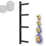 HEAXIY Estante de Pesas Olímpico para Placas de 5 Cm/2 Pulgadas, Soporte de Pesas con Barra Olímpica para Gimnasio en Casa, Soporte de Almacenamiento de Acero,C
