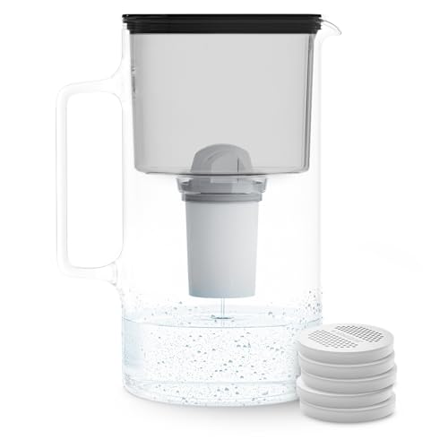 Wessper Satz Wasserfilterkanne aus Glas 2.5 L | Ersatz für Aquaphor Standard, Brita Classic, Dafi Classic Filterkartusche | 5x Filter Disc Replacement und 1x Kartusche AquaClassic | Schwarz