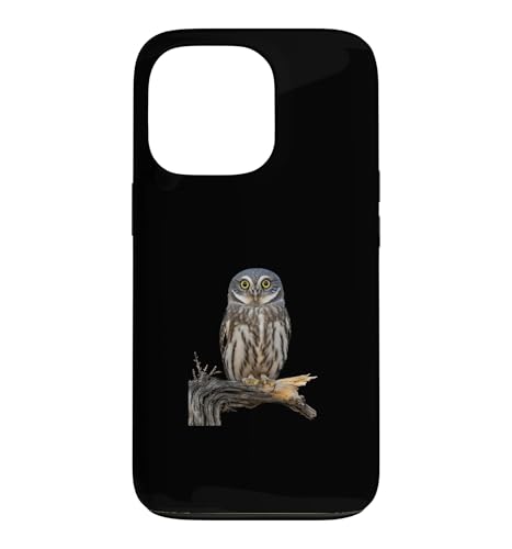 �G���t�t�N���E ���A�� �X�}�z�P�[�X iPhone 13 Pro �p