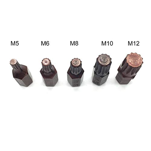 5Pcs 30Mm Torx Screwdriver Bits 12 Point Spline 10Mm Hex Shank Screw Driver Bits M5 M6 M8 M10 M12 #TOP5