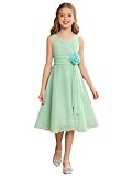 YiZYiF Enfants Filles Robe de Princesse sans Manches Robes de Soirée Mariage Cérémonie Strass Zippée Robe Mousseline Demoiselle d'honneur Bal Fête 5 16 Ans Vert Clair E 9 10 Ans