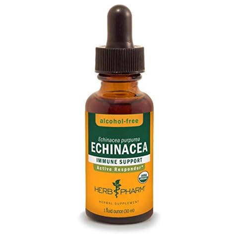 Herb Pharm Echinacea Root Liquid Extract for Immune Support Cover