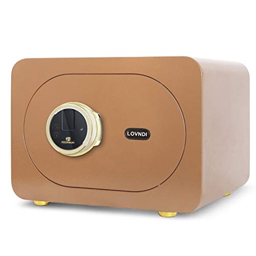 Lovndi Security Safe Box 1.0 Cubic Feet, Biometric Safe Fingerprint Safes for Home